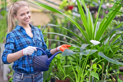 Professional garden clearance team at work in Knightsbridge