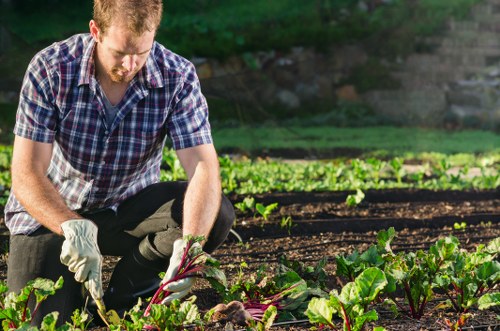 Healthy trees maintained through seasonal care