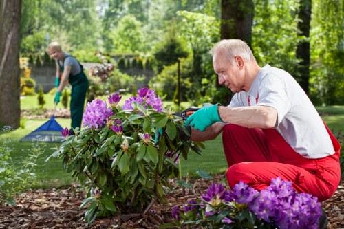 Comprehensive garden clearance services being performed