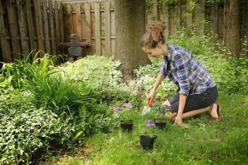 Personalized lawn care services by experts