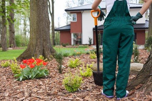Customized lawn care plan meeting clients