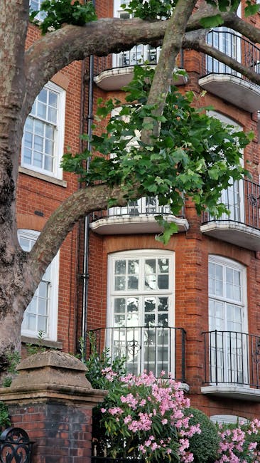 A tall, deciduous tree with a sturdy trunk and numerous branches extends upward alongside a historic red-brick building in Knightsbridge. The tree has been pruned to maintain a structured shape, with